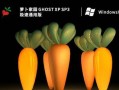 萝卜家园XP系统光盘安装教程（详细步骤带你轻松安装）
