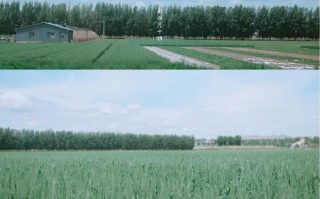 探究尼康D610宽容度的优势与应用（解密D610的高动态范围，让您的摄影更出色）