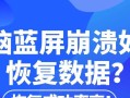 电脑错误恢复指南（解决电脑错误的有效方法与技巧）
