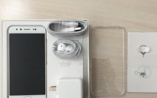 深入探究Vivix9像素的创新之处（揭秘Vivix9像素的突破性技术与应用前景）