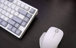 小米无线鼠标如何使用？（便携设计、精准操作，让你的办公更高效）