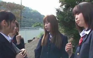 科美8813数码控夹板的优势和特点（颠覆传统夹板的控温新选择）