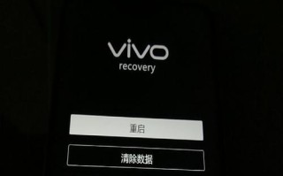 强制解除vivo账号锁教程（vivo账号锁解除方法详解及操作步骤）