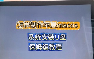 电脑店u盘启动盘制作工具6.2教程（简单易懂的制作工具使用指南，让你轻松打造u盘启动盘）