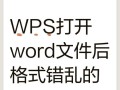 解决电脑使用WPS出现错误的方法（WPS错误解决方案及操作步骤）