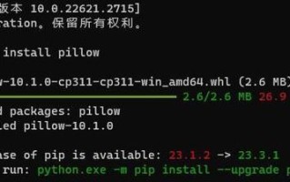 电脑显示脚本错误的原因及解决方法（深入了解电脑脚本错误，避免影响使用）