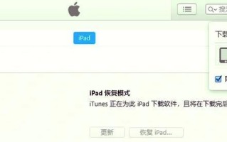 苹果电脑开机验证密码错误的解决方法（密码错误导致苹果电脑无法正常启动，如何解决？）