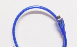 以趴趴狗记录仪C10如何改善宠物生活质量（探索趴趴狗记录仪C10的功能和特点，提升宠物的健康和安全）