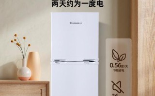 小型迷你冰箱质量究竟如何？（探究小型迷你冰箱的性能、耐用性和效能）