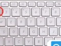 电脑键盘输入错误修复方法（解决键盘输入错误的实用技巧）