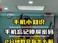手机ADB解锁教程（快速了解如何使用ADB工具解锁你的手机）