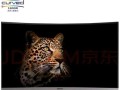 电脑网络显示错误813的解决方法（教你轻松解决电脑网络错误813的步骤）