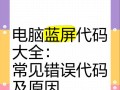 电脑无法显示此页错误代码分析（常见错误代码及解决方法）