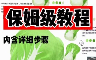 大白菜最新版使用教程（快速上手，轻松应对工作与生活需求）
