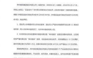 福州神州数码（探索技术创新，实现数字化转型）