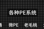 大白菜安装系统教程（简单易懂的系统安装指南）