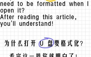 如何解决插入U盘需要格式化的问题（遇到U盘格式化问题时的解决方法）