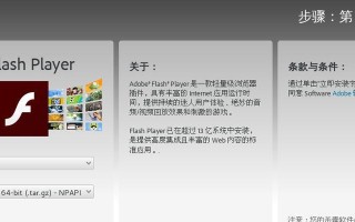 苹果电脑flash插件错误的解决方法（修复苹果电脑上flash插件错误的实用技巧）