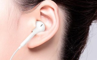 苹果耳机话筒的音质与功能如何？（探究苹果耳机话筒的声音表现与使用特点）