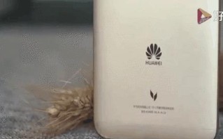 华为麦芒5（华为麦芒5的）