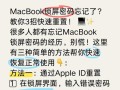 解决电脑密码错误问题的方法（忘记或输错密码时如何重设电脑密码）