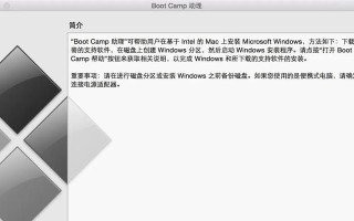 电脑系统安装win10双系统教程（详细步骤让你轻松搭建双系统）