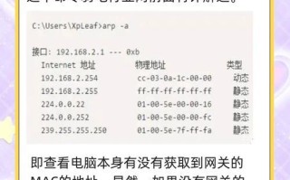 解决电脑DNS设置错误无法上网的方法（快速定位和修复DNS配置问题，恢复网络连接）