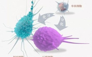 电脑中的病毒（揭秘病毒的危害和如何保护您的电脑）