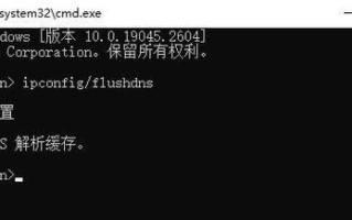电脑显示DNS错误的原因及解决方法（深入了解DNS错误，帮助您轻松解决网络连接问题）