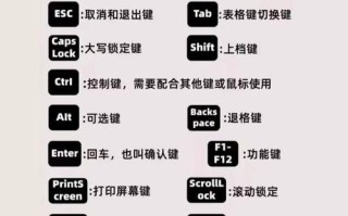 快速掌握电脑基础知识的关键技巧（用1个月时间成为电脑小白到小能手的秘诀）