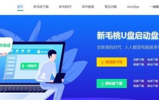 大番薯U盘重装教程（学会使用大番薯U盘轻松解决系统问题，无需繁琐步骤和专业知识）