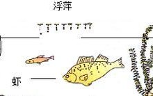 风云链生态系统（探索区块链生态系统的新篇章，以风云链为例）