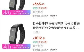 拉卡拉手环3（功能强大，体验卓越，让生活更便捷）