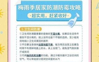 如何有效防潮湿的方法（打造舒适干燥的一楼生活空间）