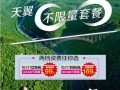 天翼无限量套餐解析-拥抱无限畅享通信世界（全面分析天翼无限量套餐的特点、优势与用户满意度）