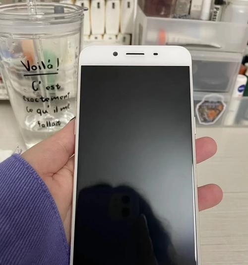深度解析OPPOR9s屏幕的特点与优势（一起来了解R9s屏幕的显示效果和创新技术）-第1张图片-星耀数码