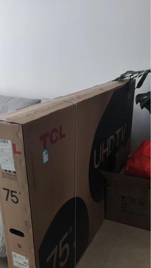 探索TCLP6的特性与性能优势（解读TCLP6的技术创新与市场前景）-第1张图片-星耀数码