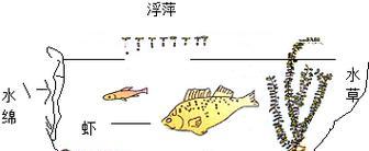 风云链生态系统（探索区块链生态系统的新篇章，以风云链为例）-第1张图片-星耀数码