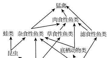 风云链生态系统（探索区块链生态系统的新篇章，以风云链为例）-第2张图片-星耀数码