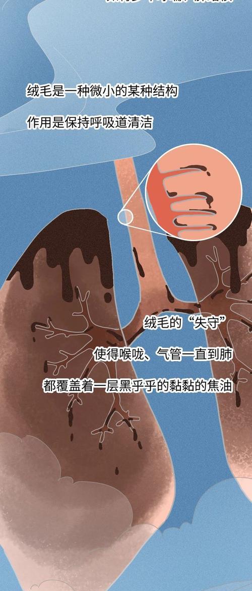 二手烟的危害与影响（吸一点二手烟，你知道会发生什么吗？）-第1张图片-星耀数码