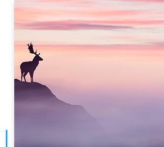 探究中睿泽农的发展现状及前景（了解中睿泽农的业务模式、产品质量和市场竞争力）-第3张图片-星耀数码