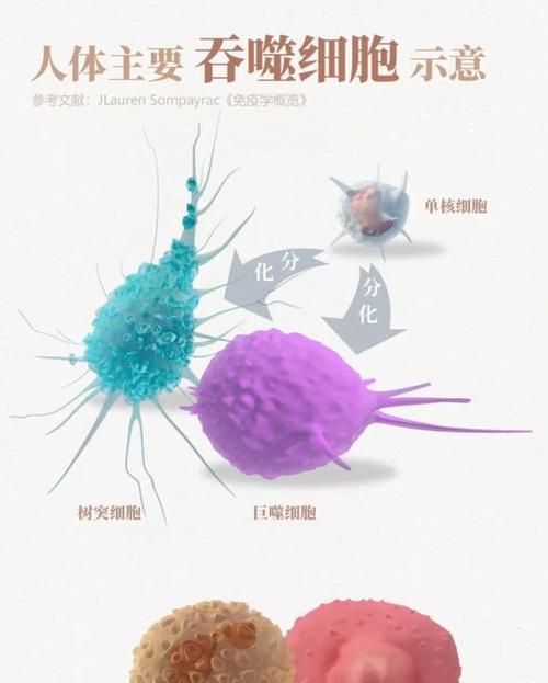 电脑中的病毒（揭秘病毒的危害和如何保护您的电脑）-第1张图片-星耀数码