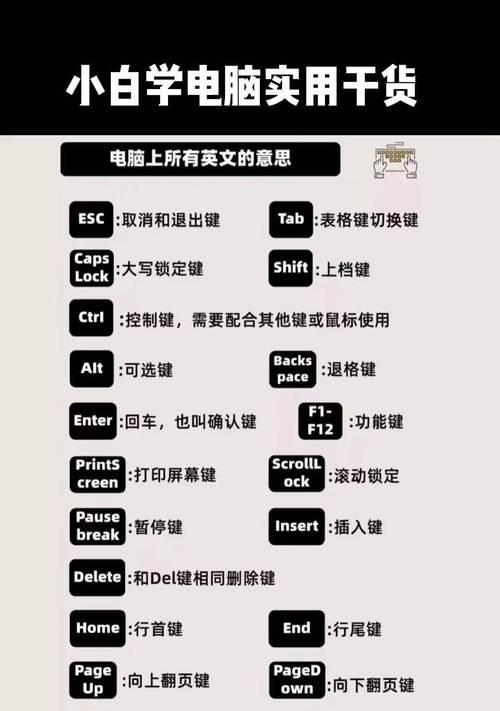 快速掌握电脑基础知识的关键技巧（用1个月时间成为电脑小白到小能手的秘诀）-第1张图片-星耀数码