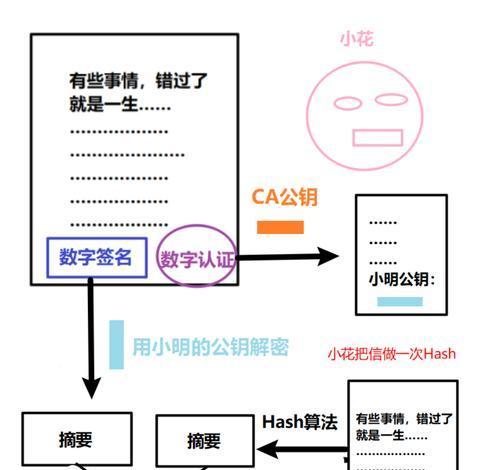 保护您的数据（提高数据安全性，防止数据泄露）-第2张图片-星耀数码