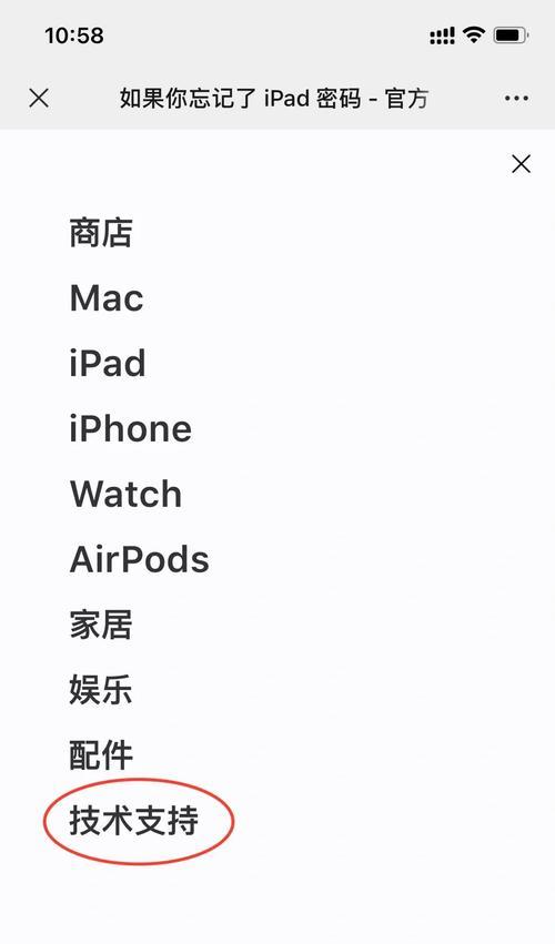 iPad连接电脑显示错误的解决方法（解决iPad连接电脑时出现的显示错误，享受无缝连接体验）-第3张图片-星耀数码