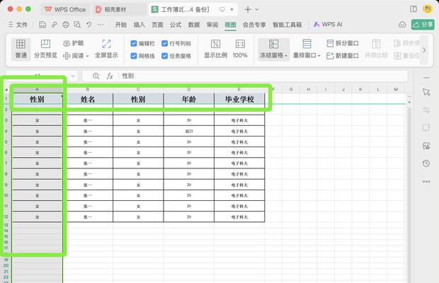 如何冻结Excel表中的指定行和列（简单操作实现表格固定行列功能）-第2张图片-星耀数码