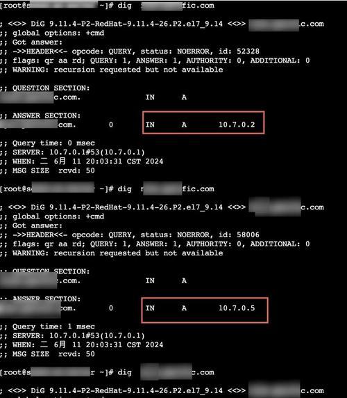 解决电脑DNS错误的有效方法（排查和修复常见的电脑DNS问题）-第3张图片-星耀数码