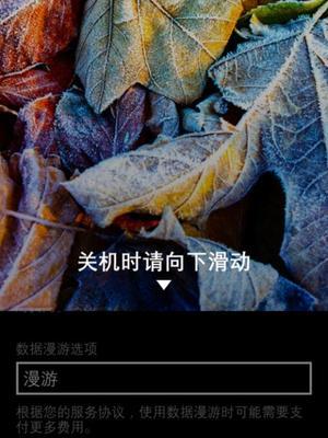 电脑上运行的手机脚本错误解决方法（手机脚本错误及其对电脑使用的影响分析）-第2张图片-星耀数码