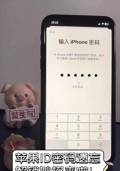 苹果ID密码修改教程（详解苹果ID密码修改步骤及注意事项）-第1张图片-星耀数码
