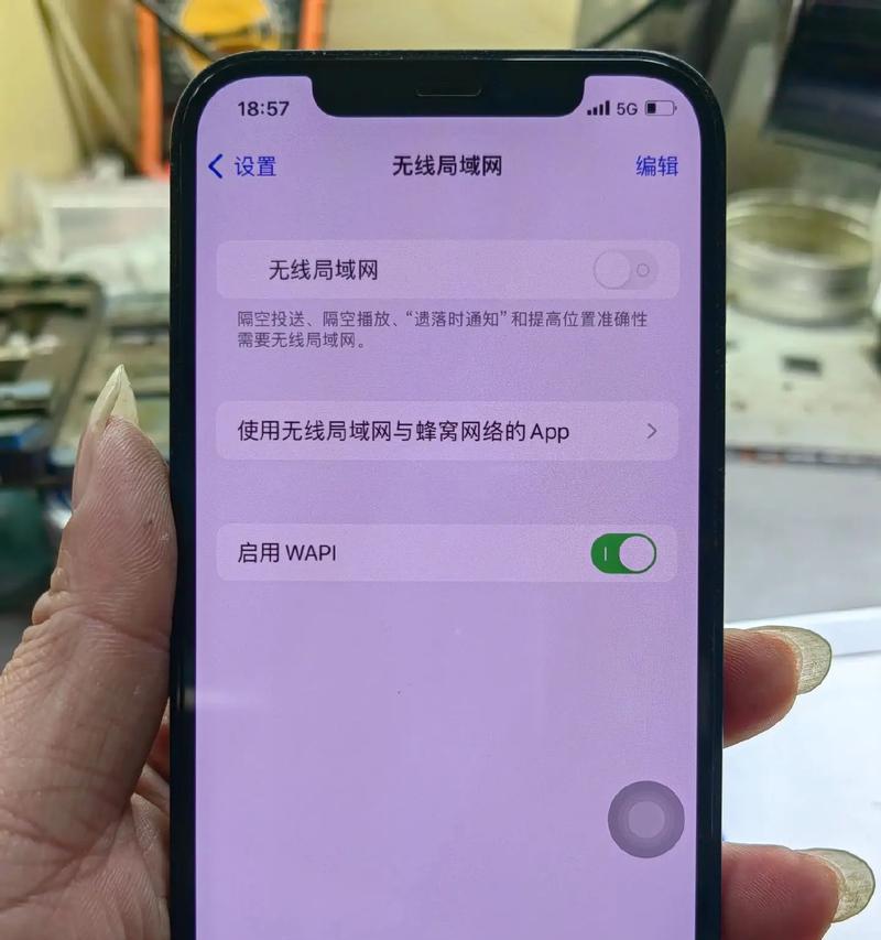 电脑连接iPhone共享WiFi密码错误解决方法（如何正确设置电脑连接iPhone共享WiFi密码）-第1张图片-星耀数码